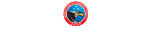 Toque no botão verde e entre no grupo de Whatsapp para receber todo os acessos do Evento (4)